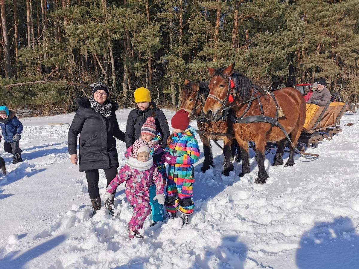 Sympatik Bed & Breakfast Jastrzębia Góra Eksteriør bilde
